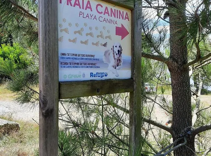 Bonito Piso A De Candela En O Grove